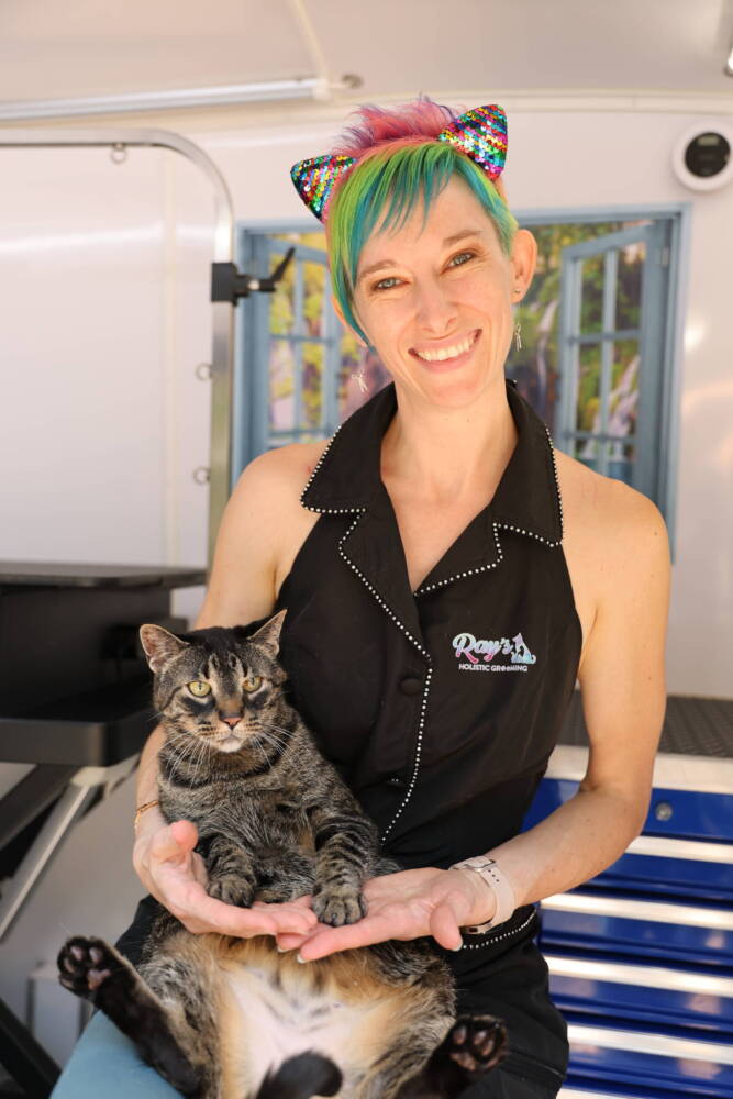 cat-groomer-holding-cat