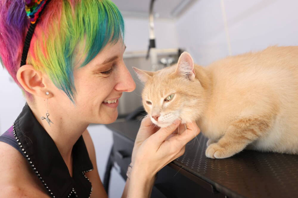 cat-groomer-petting-cat